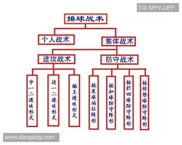 深圳排球队的战术解析与控制能力深度剖析 深圳排球队的战术解析与控制能力深度剖析