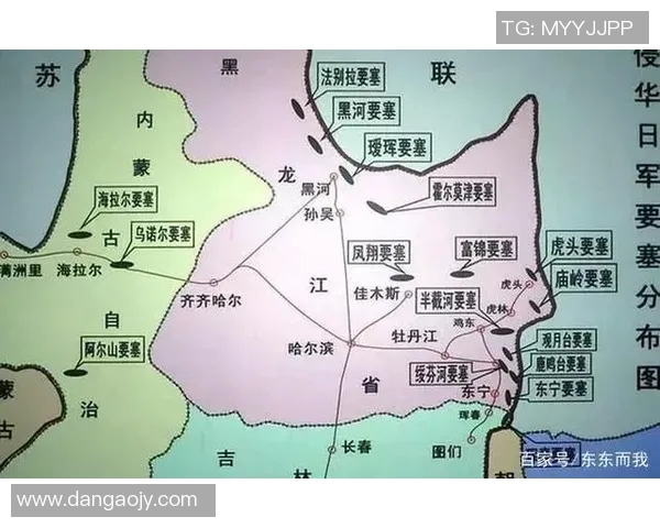 深入分析上海乒乓球队的进攻策略与战术特点 深入分析上海乒乓球队的进攻策略与战术特点