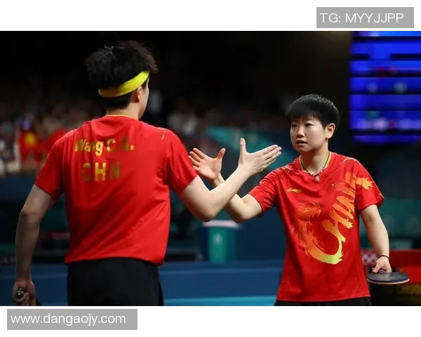 北京乒乓球队在联赛中的技术表现分析与未来发展展望