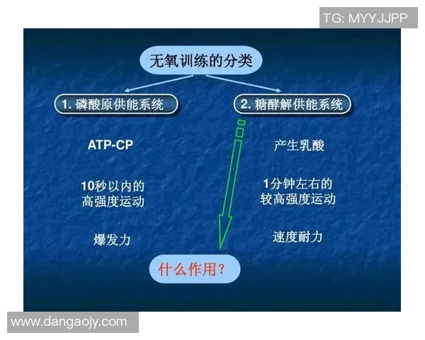 广州羽毛球队防守战术深度分析与实战应用探讨
