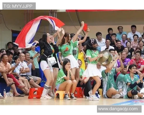 排球盛宴：深入成都排球队的默契与协作之道