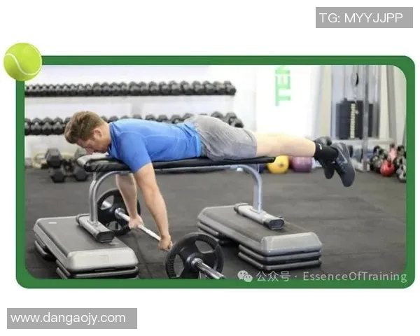 科学网球:力量训练方法 科学网球:力量训练方法